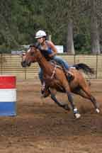 Horse Events